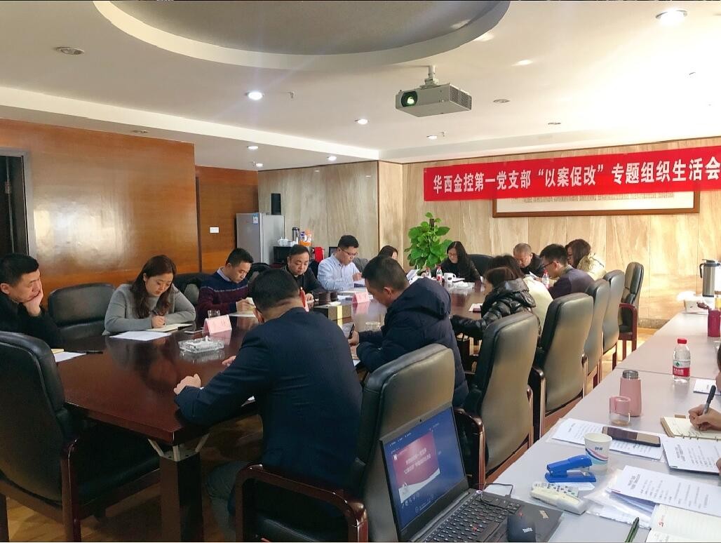 华西金控第一党支部召开“以案促改”专题组织生活会